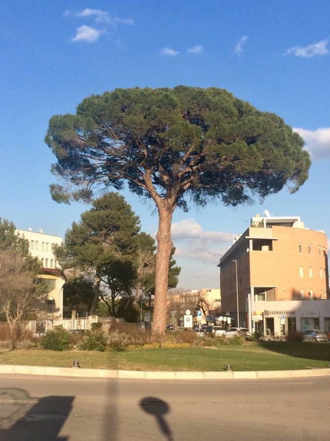 Residence Al Pino Матера Екстериор снимка
